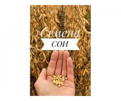 Семена яровых культур (пшеница, ячмень, лен, соя, рапс , кукуруза , горох)